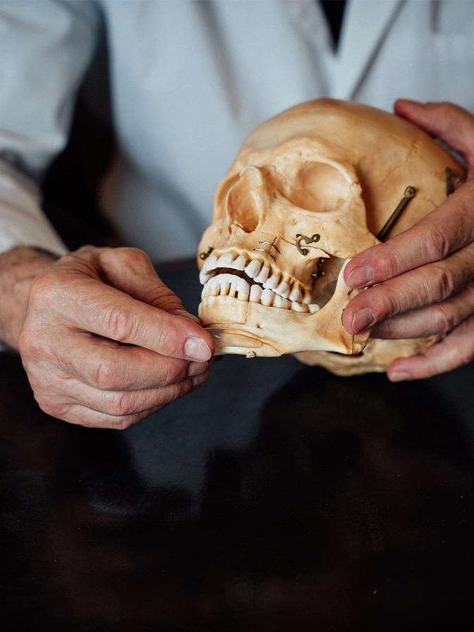 Person in white coat holding human skull model demonstrating anatomical features for medical or educational purposes - siding genioplasty in New York, NY